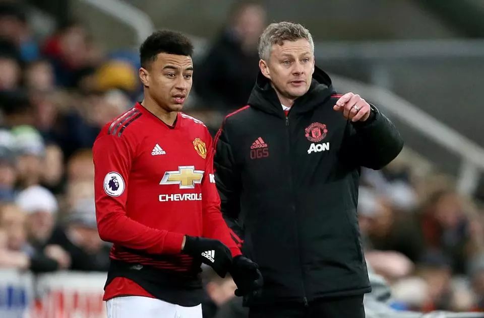 练习步法交 练习步法交